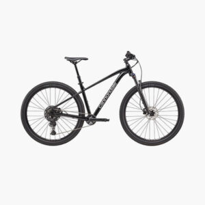 VTT Mixte